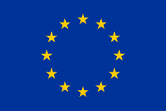 Euro flag